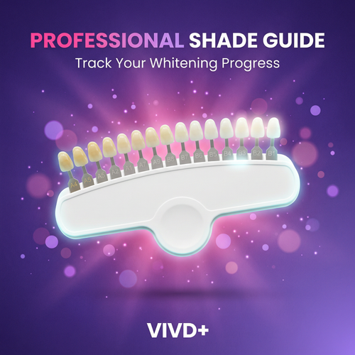 VIVD+ Shade Guide